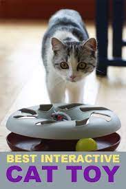 Great Interactive Cat Toy For Cats That Are Boarded Cat Toys Best Interactive Cat Toys Interactive Cat Toys