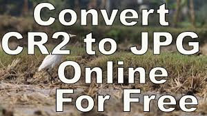 No route exists for manual conversion and no such converter exists. Fast How To Convert Cr2 To Jpg In 2 Steps Online Youtube