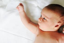 Penyakit kuning dapat ditularkan oleh serangga kutukebul (bemisia tabaci) sehingga serangga penularnya juga harus dikendalikan. Mengenal Dan Mengatasi Penyakit Kuning Pada Bayi