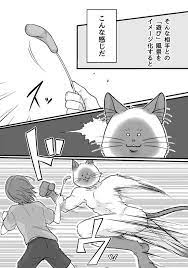 其實跟貓玩耍會很累 網友用四格漫畫表現出當中的辛酸qq 圖片6 image illustration illustration art