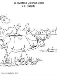Worksheet will open in a new window. 28 Yellowstone Kids Activity Book Ideas Yellowstone Kids Activity Books Yellowstone Trip