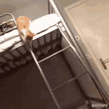 Falling Off Ladder Gifs Tenor