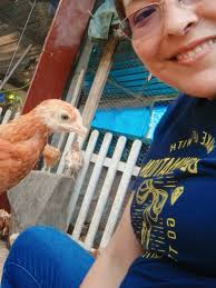 Pollitos Ponedoras Santa Cruz 5bs