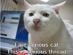 Image result for i can has cheezburger