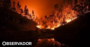 We did not find results for: As Primeiras 56 Horas Do Incendio Em Pedrogao Grande Minuto A Minuto Observador