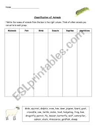Animal classification worksheets and anchor charts. Classification Of Animals Exercise Esl Worksheet By Treeoflight