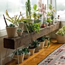 Plant Stands Indoor Plus Decorative Plant Shelves Plus Plant Stand Ideas Inside Plus Indoor Plant Stand Furnitur Plant Stand Indoor Indoor Plants Window Plants