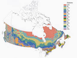 Apr 15, 2021 · hardiness zones are the usda's general guidelines of the temperatures a plant can survive. The 1961 1990 Plant Hardiness Zones Of Canada Download Scientific Diagram