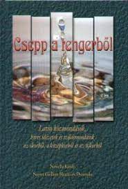 Jogi diplomát szerzett, de jogászként a lelkiismeretével össze nem egyeztethető döntéseket is kellett volna hoznia, ezért pályát módosított. Konyv Csepp A Tengerbol Boros Zoltan Szerk Dr Edelenyi Judit Szerk Szoke Agnes Szerk