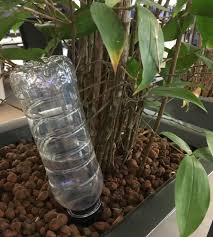 Arrosage potager bouteilles plastique 20 idées géniales pour recycler facilement vos bouteilles et si vous construisiez un abri de jardin avec des make a diy drip irrigation system using plastic 9 idées pour recycler vos bouteilles de plastique en. Des Astuces Pour L Arrosage Des Plantes Pendant Les Vacances