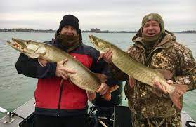 Downstream of the dam on the peshtigo river the wooden platform stretches 160 feet across the water. Upstate New York Fishing Report November 21 2018 On The Water