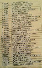 Hivda Sevil Adli Kullanicinin Ruyam Makyaj Panosundaki Pin Bitki Bilgi Bahcecilik