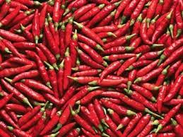 The spicy pepper is a chili, chilli, or chile (there are three writers sometimes confuse chili, chilli, and chile (note the lowercase c). Chili Chilli And Chile Explaining The Difference Merriam Webster