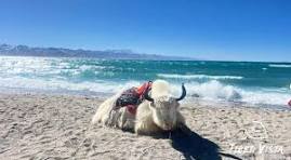 15 Pictures of Tibetan Plateau: Get Your First Impression of ...
