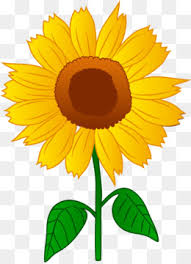 Maybe you would like to learn more about one of these? Sunflower Cartoon
