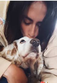 ❤️🩷🥹 #dogsoftiktok #canhijo #dogs #perrito #paratii