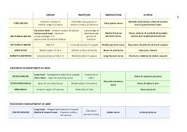 Anatomy Revision Of The Upper Limb Lower Limb Back