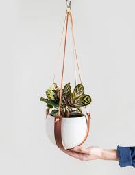 leather plant hanger hugger pistils nursery diy hanging plants indoor cedar wall planter