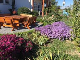 Caline with c — faemi flower 9. Damit Ihr Garten Traum Zum Traum Garten Wird Tip Verlag Lampertheim