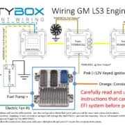 If you are using that type of column, plug the black and clear plugs into the ignition switch. Gm Ignition Switch Infinitybox