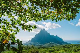 On a tous envie de partir en vacances, de s'évader et de ne plus penser à rien. Comment Payer Son Billet D Avion Moins Cher Toutes Les Astuces