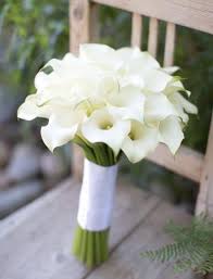 Order wedding bouquets from calla lilies ufl delivery of wedding bouquets from calla lilies only fresh flowers fast service. Bridal Bouquet Calla Lily Bridal Bouquet Wedding Bouquet White Wedding Bouquets White Wedding Flowers Lily Bouquet Wedding
