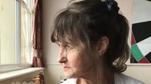 Dianne Williamson death: Woman admits killing partner