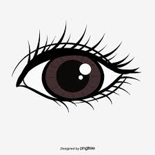 Olho Olhos Clipart Preto E Branco Olho Globo Ocular Imagem Png E Psd Para Download Gratuito Cartoon Eyes Anime Eyes Eyelash Illustration