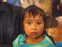 Annual Report Informe Anual