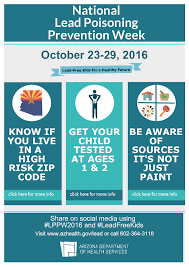 Image result for Lead Poisoning