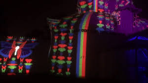 Conservatory of flowers light show. Sneak Preview Conservatory Of Flowers Summer Of Love Projections Come Alive Sfist
