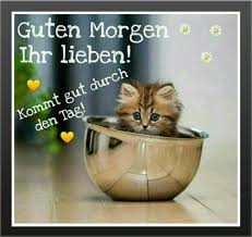 Der morgen markiert den anfang eines weiteren tages für sie und verliebte, also ein gutes morgenzitat für verliebte zu geben, so wird das mehr als genug sein, um verliebte zu senden. Guten Morgen Susse 12 Susse Guten 2020 02 26
