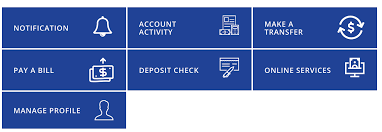 Reorder checking account transactions in ways that minimize and maximize their total overdraft fees so they gain a better understanding of how fees are assessed. Ngpf Online Bank Simulation Answers Welcome To The Financial Literacy Project Online Banking Simulator