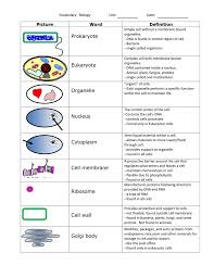 In animal cells it usually takes a spherical shape if there is enough room within. Unit 3 Cells Vocabulary With Definitions