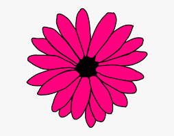 We did not find results for: Pink Daisy Svg Clip Arts Pink Daisy Flower Clipart Hd Png Download Transparent Png Image Pngitem
