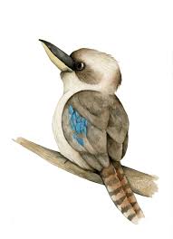 Kookaburra Watercolour Art Print A3 Nursery Australian Animal Animal Illustration Art Watercolor Art Prints Australian Animal Nursery