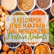 Kepentingan & fungsi makanan protein tinggi. 5 Kelompok Jenis Makanan Yang Mengandung Protein Nabati
