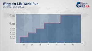 Wings, for, life, logo, file: Wings For Life World Run Running For Those Who Can T Personal Twist At The End Steemit