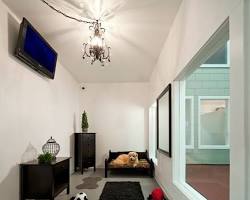 dog in a pet hotel roomの画像