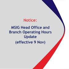 Msig Insurance Company Facebook 1 013 Photos