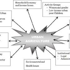 Pdf Enhancing Food Security And Economic Welfare Through Urban Agriculture In Zimbabwe