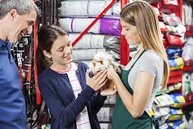 Founded in 2006, puppy boutique las vegas is the leading pet store in southern nevada. The 7 Best Pet Boutiques In Virginia