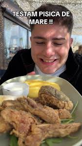 Capturarea Pisicilor de Mare în Marea Noastră