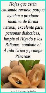 Pin De Rosa De Diego Gutierrez En Remedios Remedios Para La Salud Remedios Para La Gastritis Recetas Para La Salud