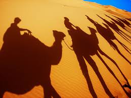 Steve greenwood submitted this fabulous illusion via email: Appearances Can Be Deceiving A Tale From The Desert Edreams Travel Blog
