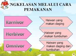Malahan pemikiran marah dan dendam. Pengelasan Haiwan