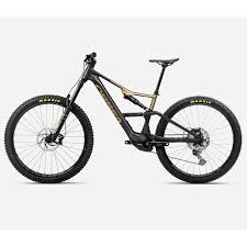 Image result for Orbea umbracula