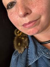 san angelo exotic pets