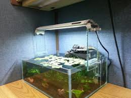 Methods For Raising Light Fixture The Planted Tank Forum
