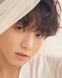 Simak juga kriteria pacar idamannya. Biodata Profil Dan Fakta Menarik Jungkook Bts Dailysia